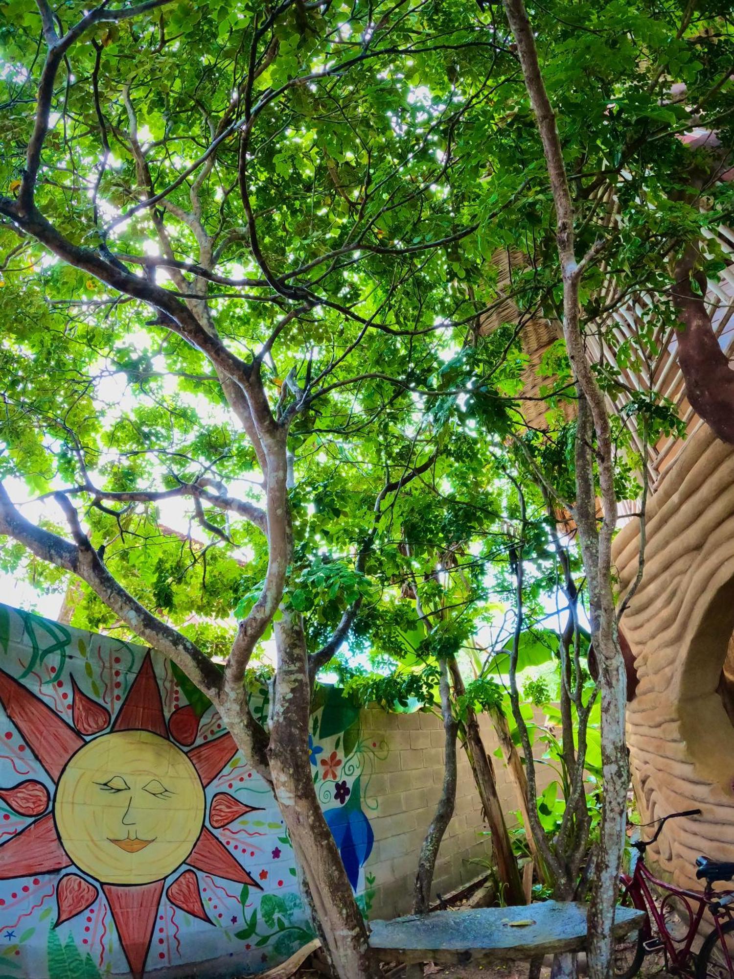 Raizes Eco Hostel Barra Grande  Luaran gambar