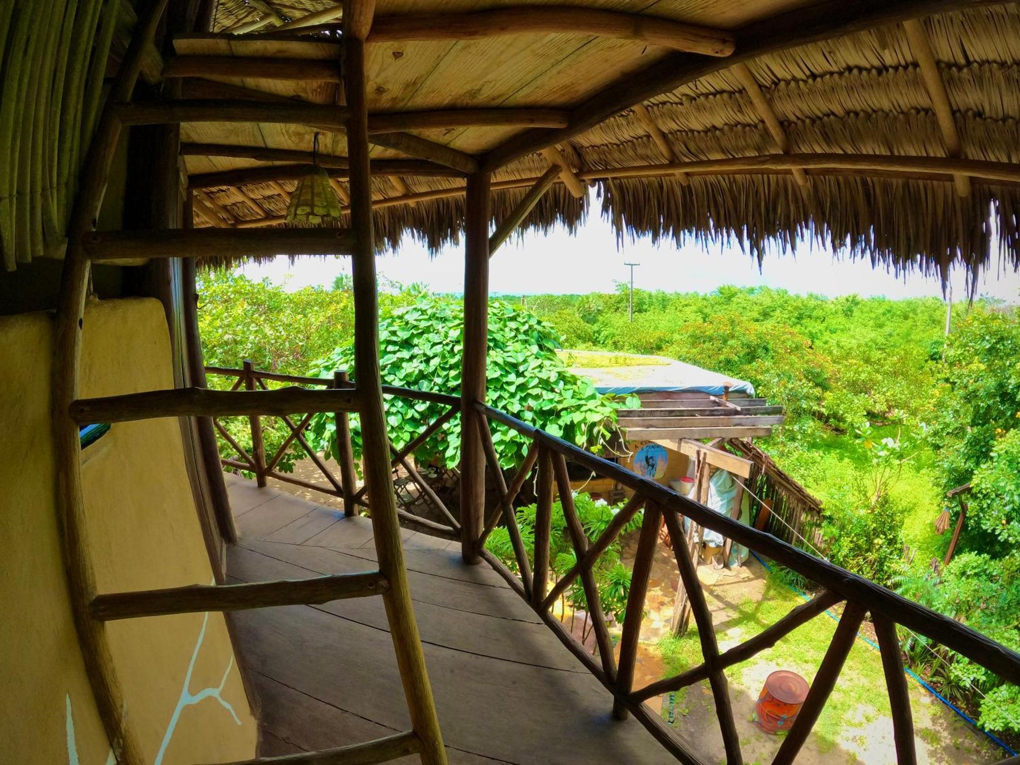 Raizes Eco Hostel Barra Grande  Luaran gambar