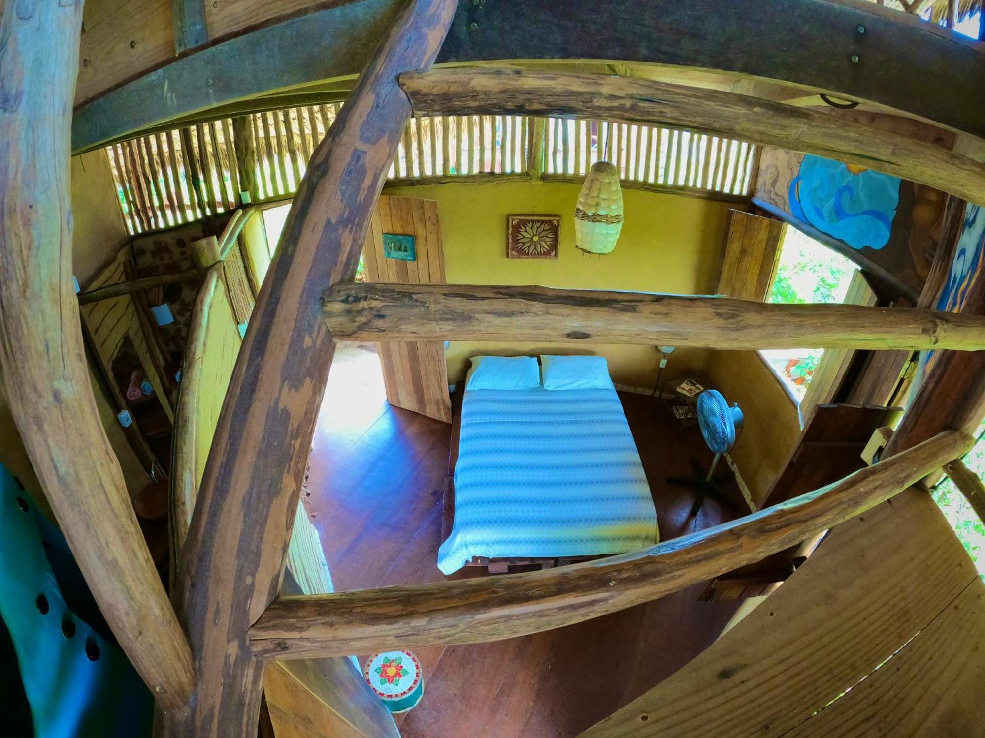 Raizes Eco Hostel Barra Grande  Luaran gambar