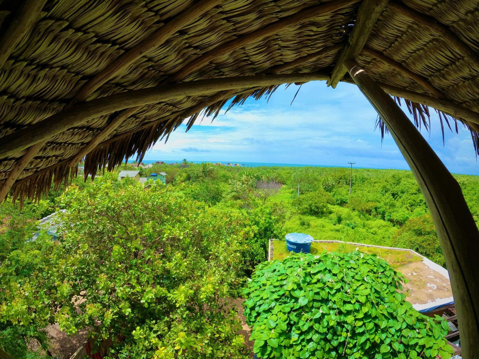 Raizes Eco Hostel Barra Grande  Luaran gambar