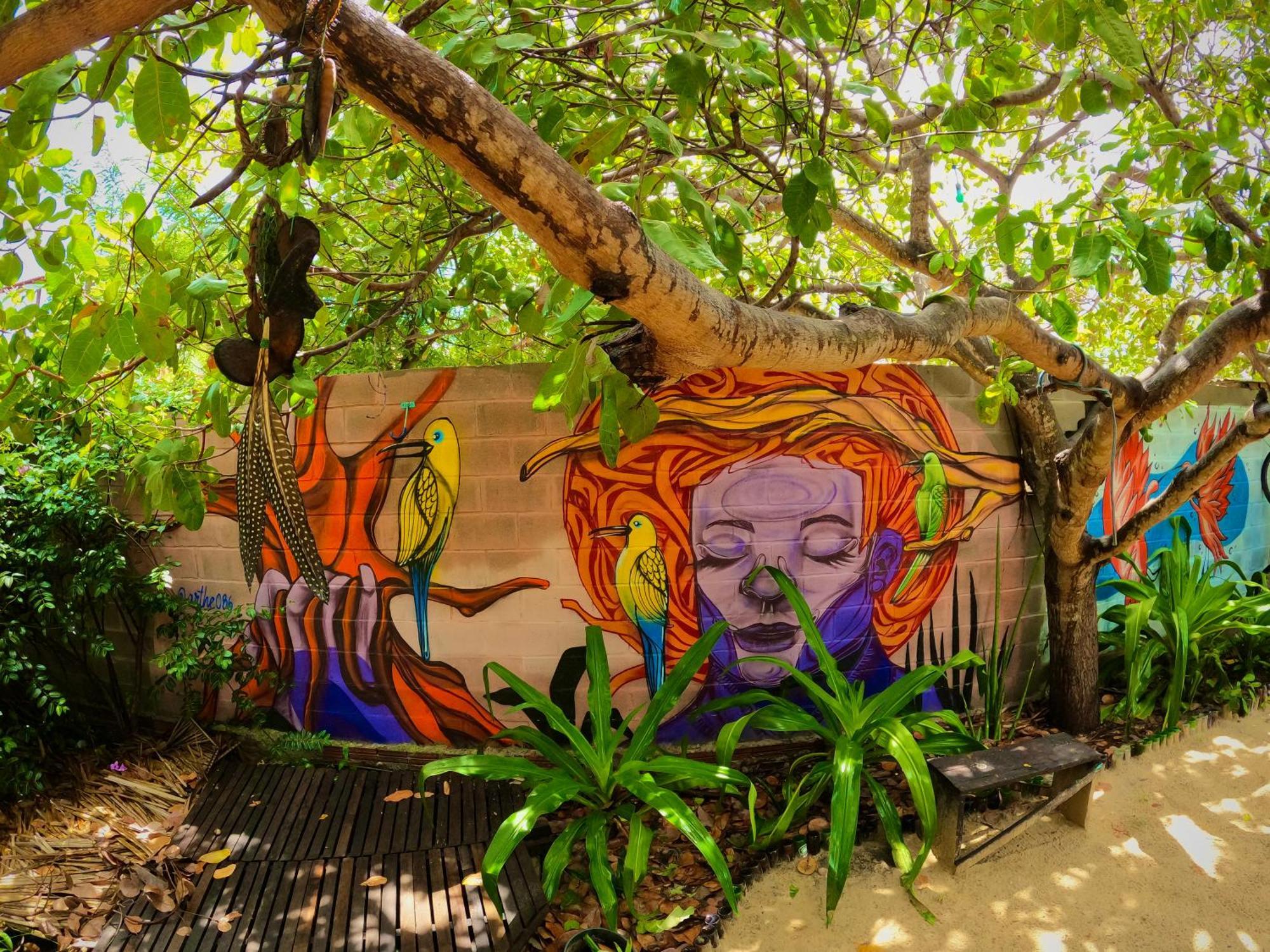 Raizes Eco Hostel Barra Grande  Luaran gambar