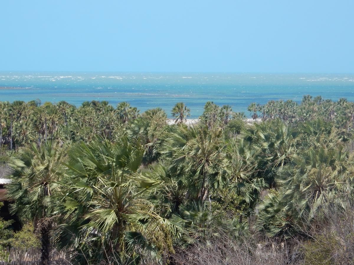 Raizes Eco Hostel Barra Grande  Luaran gambar