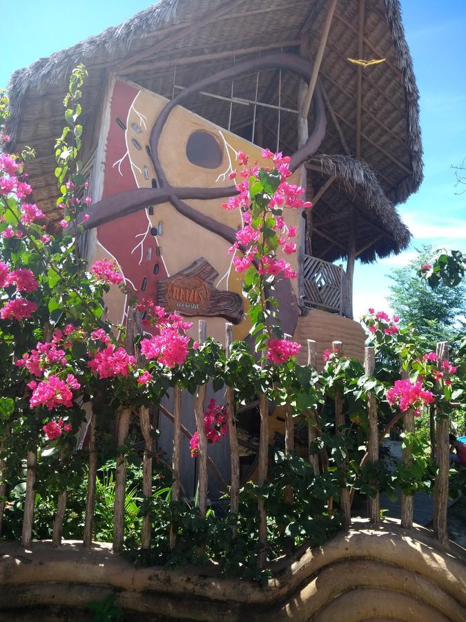 Raizes Eco Hostel Barra Grande  Luaran gambar