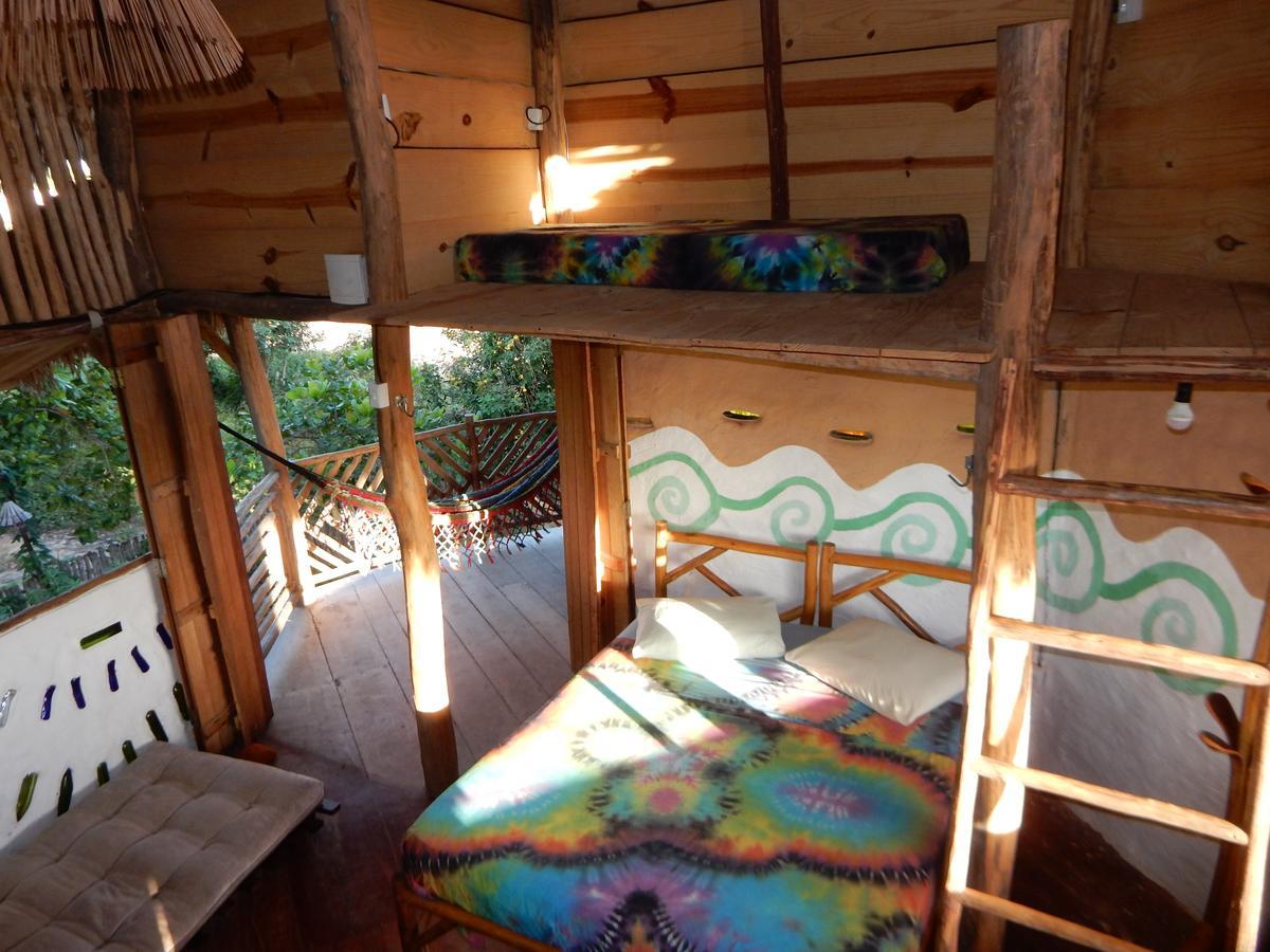 Raizes Eco Hostel Barra Grande  Luaran gambar