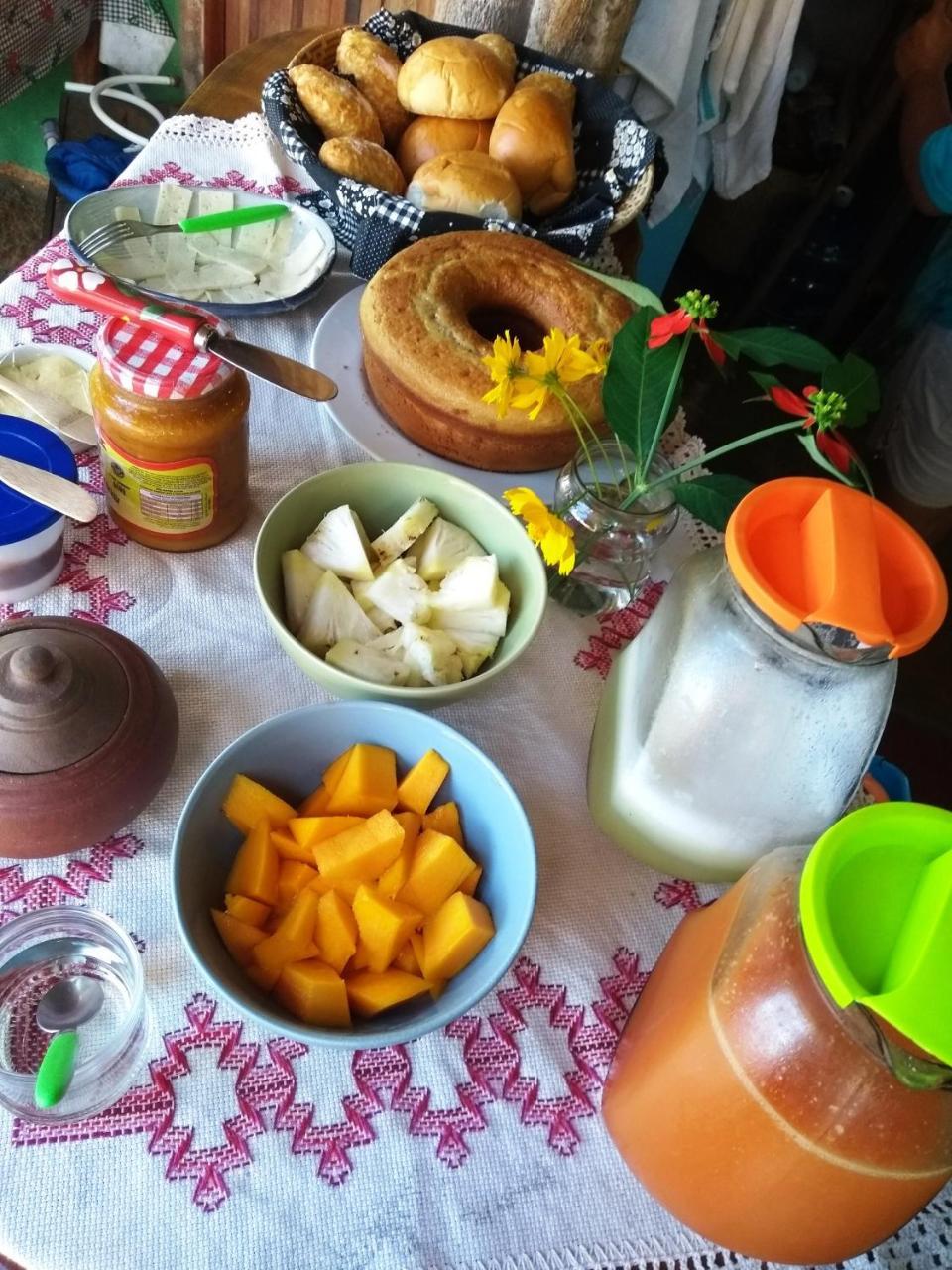 Raizes Eco Hostel Barra Grande  Luaran gambar