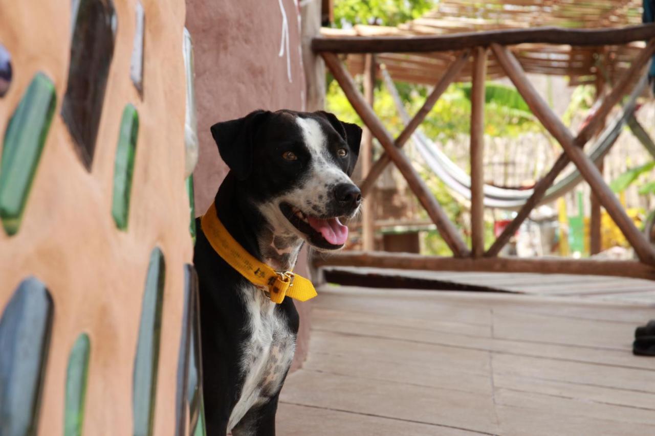 Raizes Eco Hostel Barra Grande  Luaran gambar