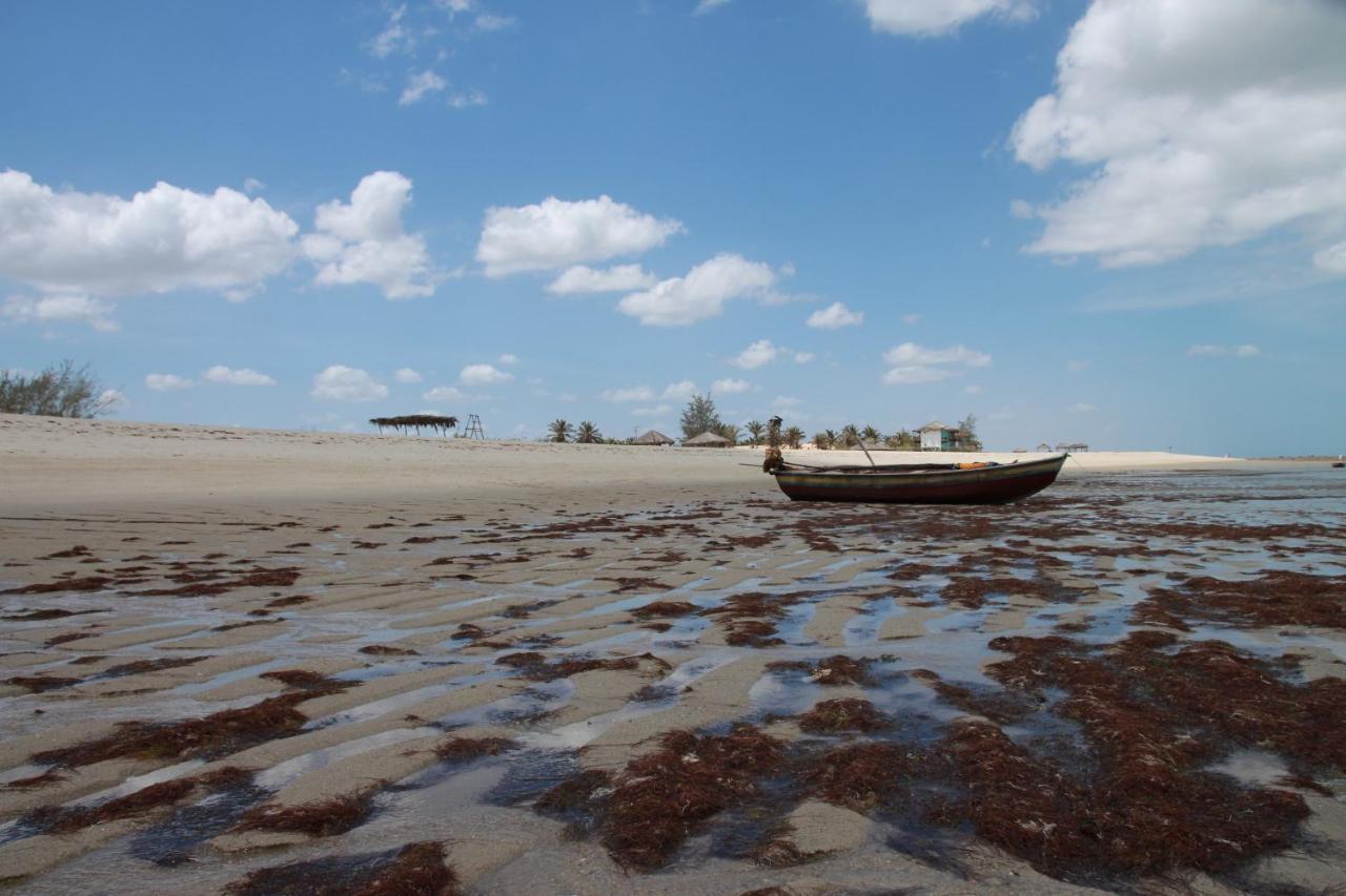 Raizes Eco Hostel Barra Grande  Luaran gambar
